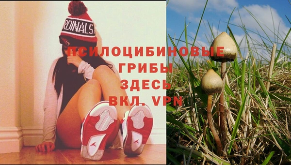 MDMA Касимов