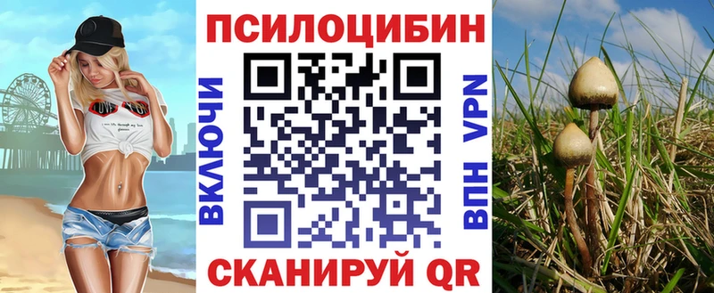 Купить закладки  Чёрмоз  Галлюциногенные грибы прущие грибы 